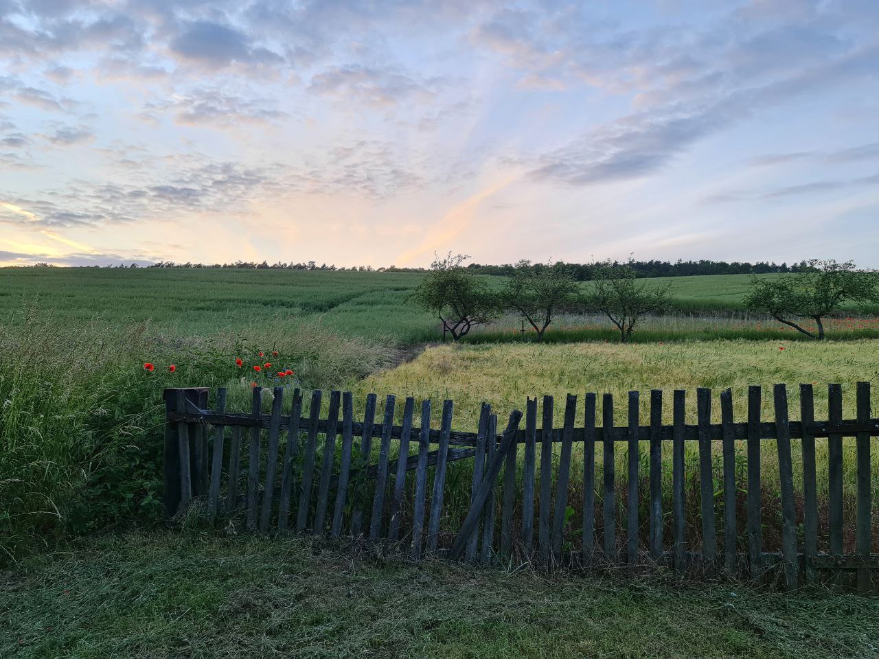 Comment Ça Va ☆ Contact AC ☆ AC – Contact info ☆ Come in ☆ Andiamo avanti ☆ We have been waiting for you for so long ☆